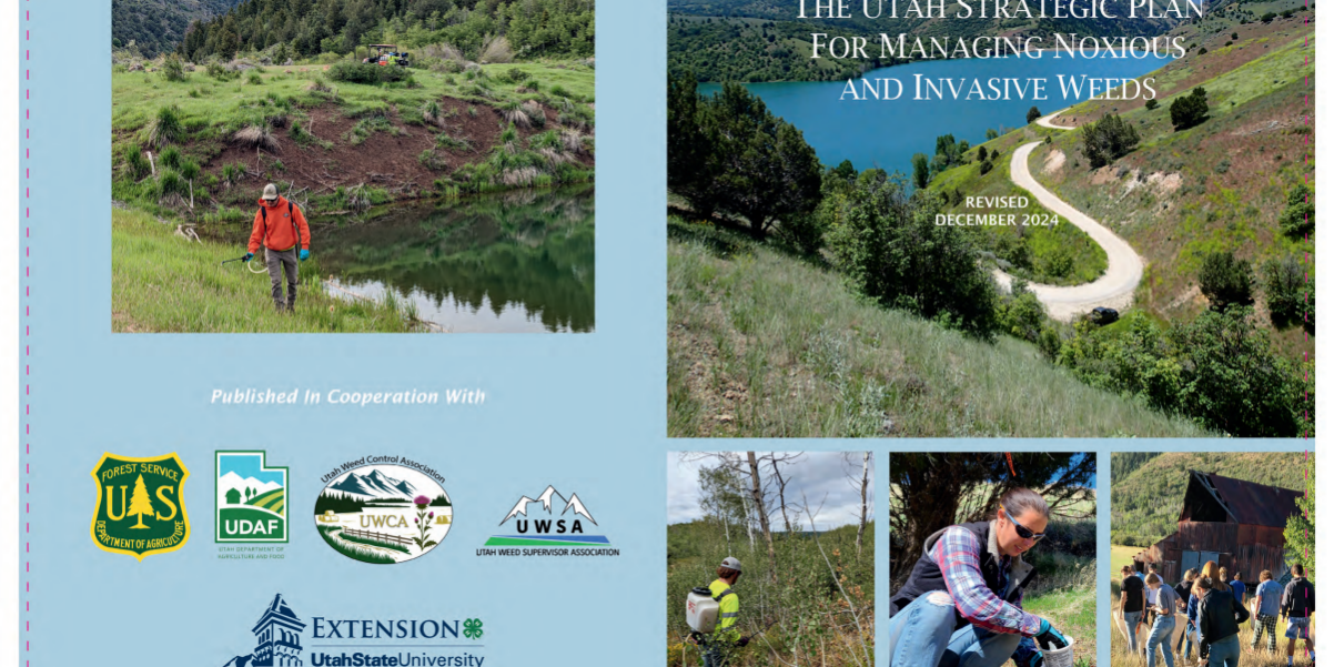 stratPlan Cover of the Utah weeds strategic plan