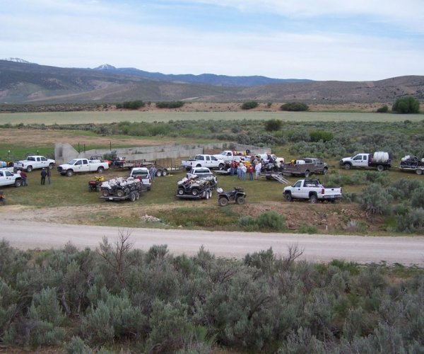 cwma spray day